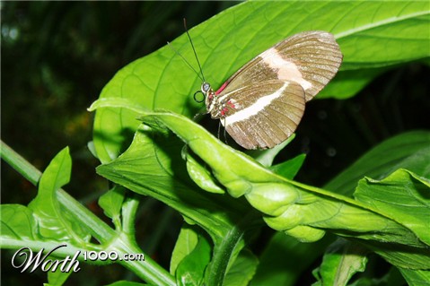 Photography by run71324