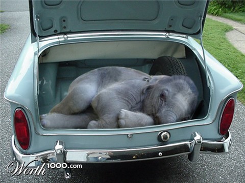 Photoshop Design by hasfal