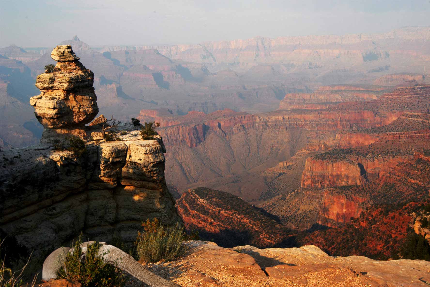 Diseño de Photoshop por AntiHeroHUN para DesignCrowd (Community Contests) | Diseño #9003645