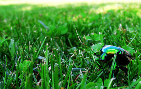 Photography by pio1976 for DesignCrowd (Community Contests) | Design #9004668