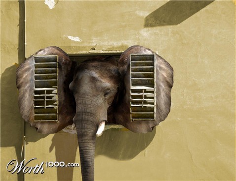 Photoshop Design by frogfreak99