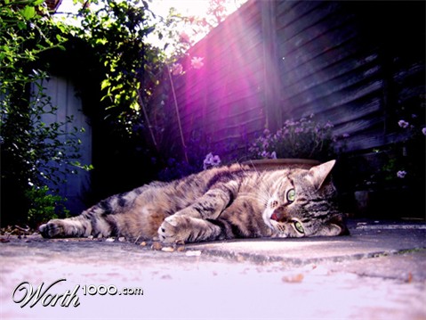 Photography by Dockery