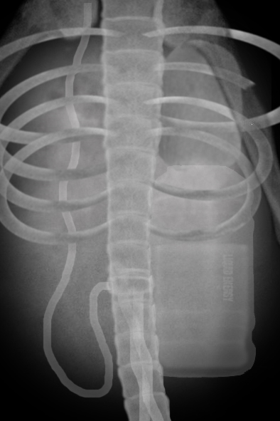 Diseño de Photoshop por ViggeMayn para DesignCrowd (Community Contests) | Diseño #9010355