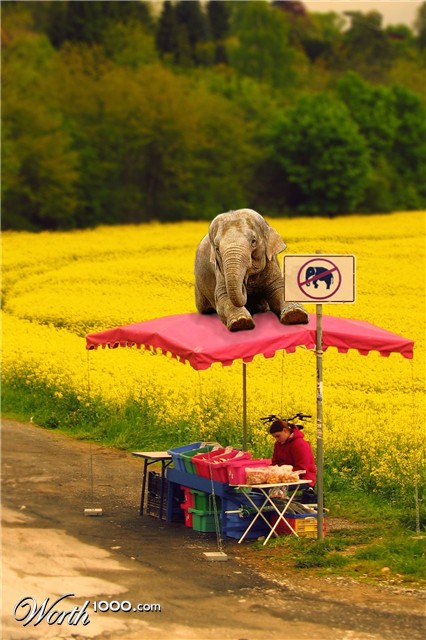 Photoshop Design by willyr