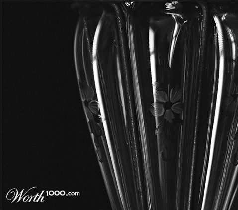 Photography by alicina