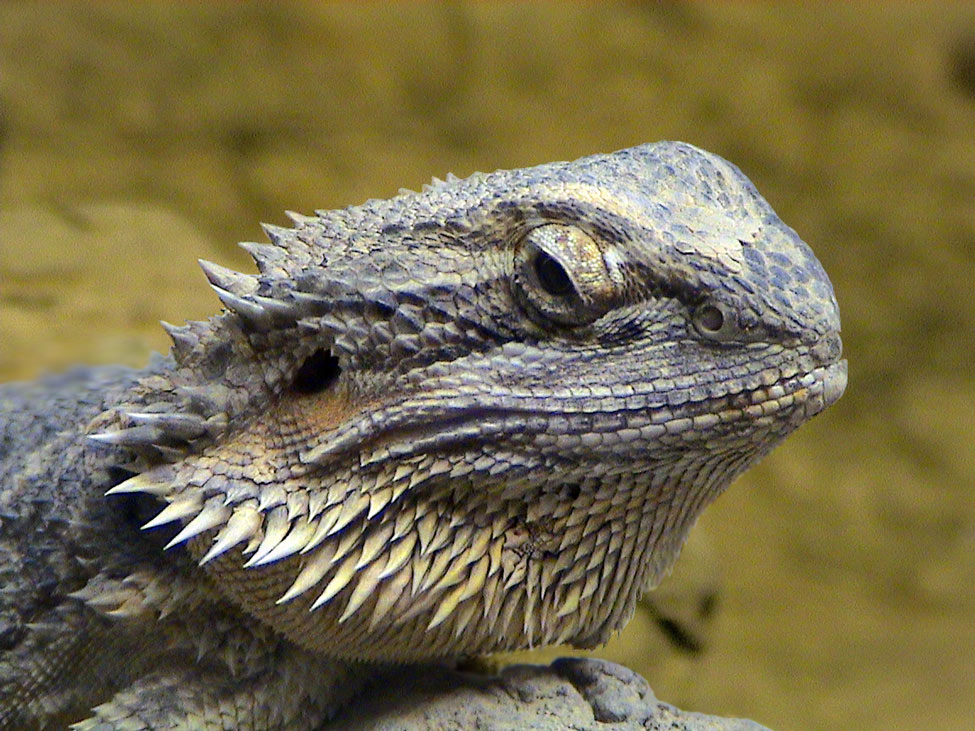 Photography by ThisisntGraham for DesignCrowd (Community Contests) | Design #9013024