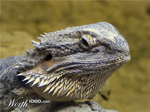 Photography by ThisisntGraham