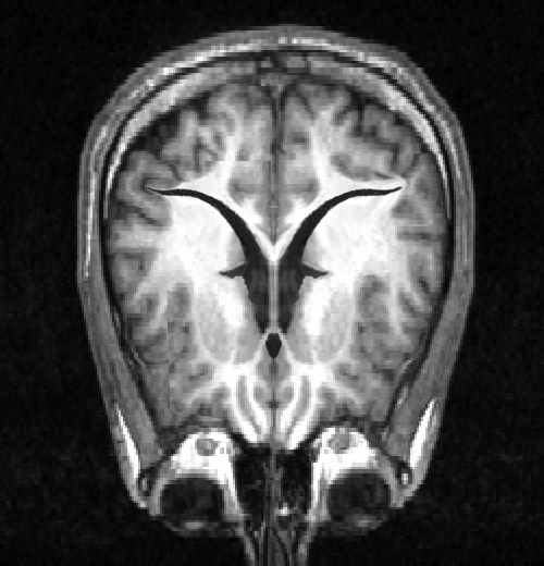 Photoshop Design by Qofcheez for DesignCrowd (Community Contests) | Design #9010408