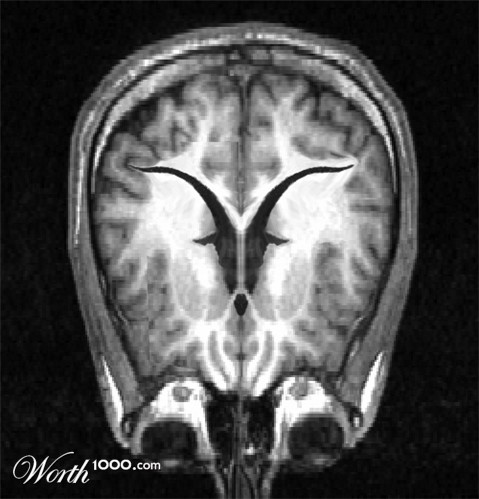 Photoshop Design by Qofcheez