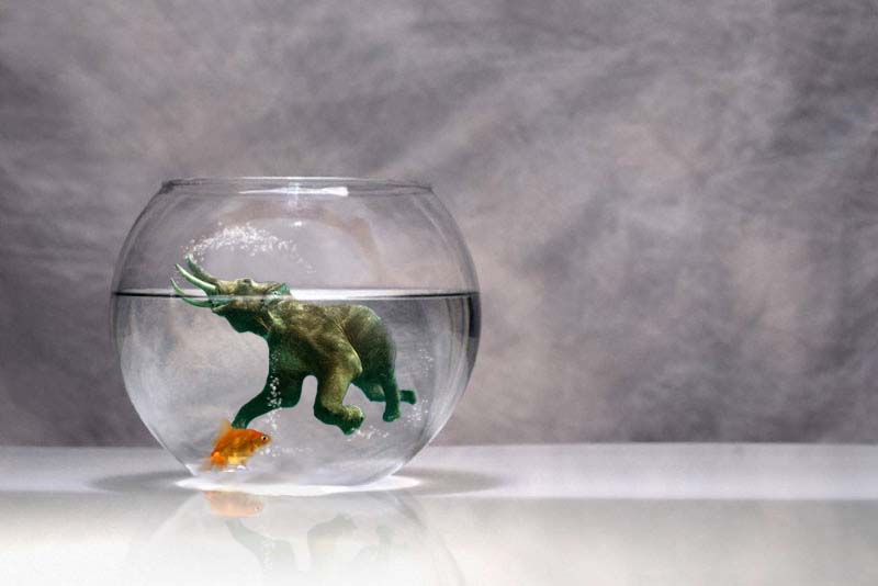 Photoshop-Design von eckdeck für DesignCrowd (Community Contests) | Design #9003580