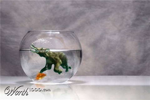 Photoshop Design by eckdeck