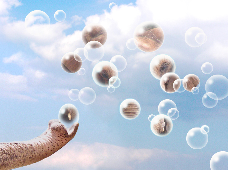 Diseño de Photoshop por tufty68 para DesignCrowd (Community Contests) | Diseño #9003630