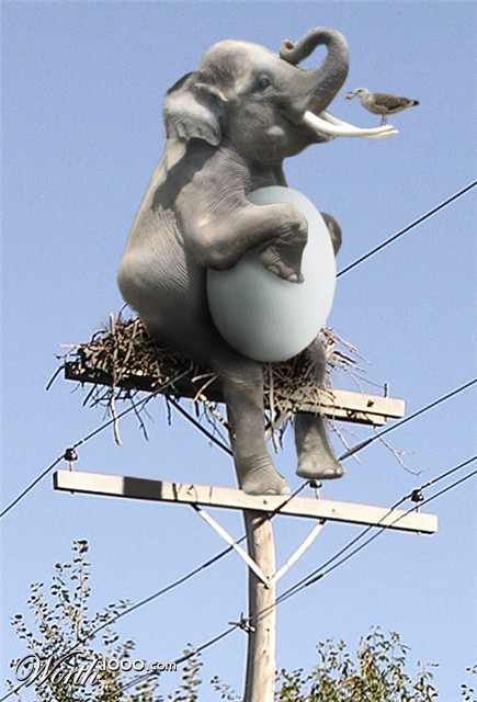 Photoshop Design by CristiG