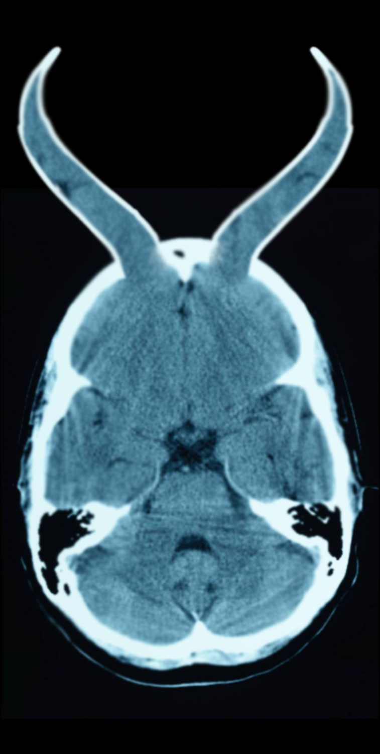 Photoshop-Design von Pestlett für DesignCrowd (Community Contests) | Design #9010376