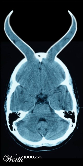 Photoshop Design by Pestlett