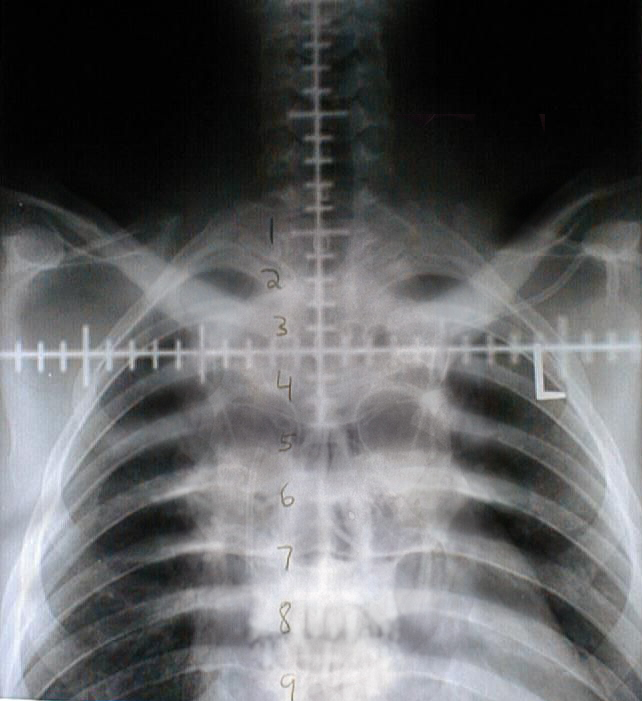 Photoshop Design by Fierceleaf for DesignCrowd (Community Contests) | Design #9010415