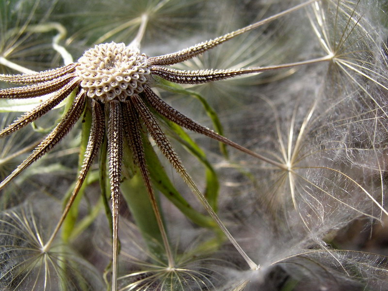 Fotografie von mzmzmzmz für DesignCrowd (Community Contests) | Design #9008526