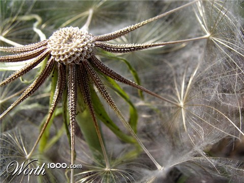 Photography by mzmzmzmz