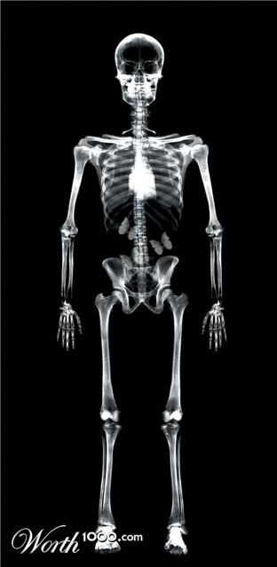 Photoshop Design by milo22