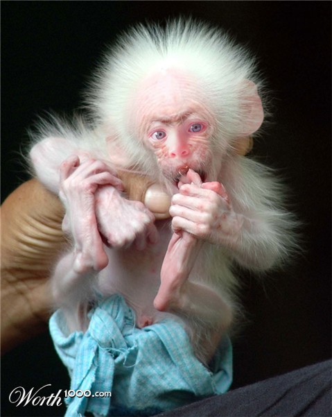 Photoshop Design by underworth