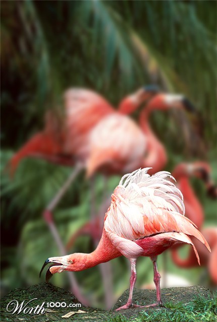 Photoshop Design by oaydin