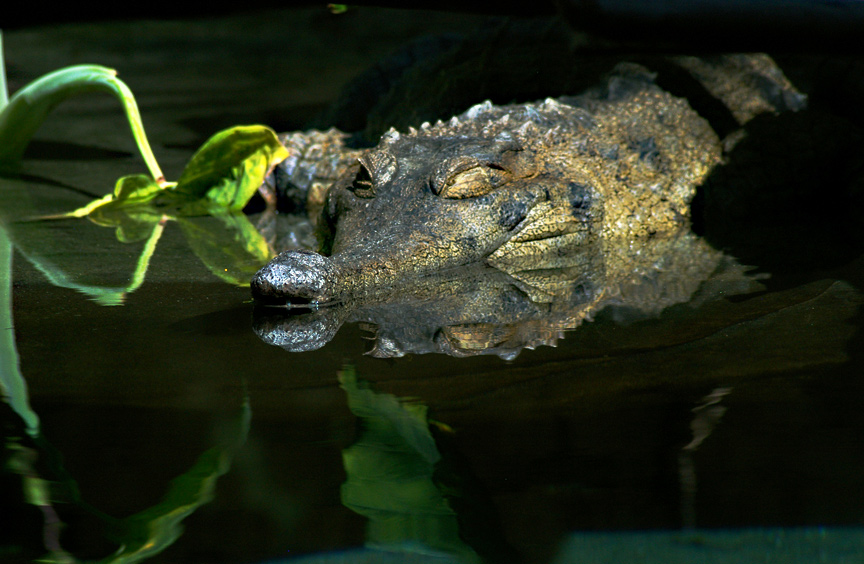 Fotografía por arttrainer para DesignCrowd (Community Contests) | Diseño #9012956