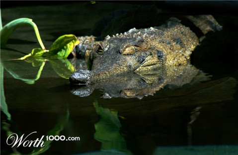 Photography by arttrainer