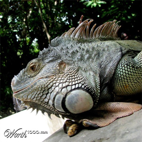 Photography by D00dle