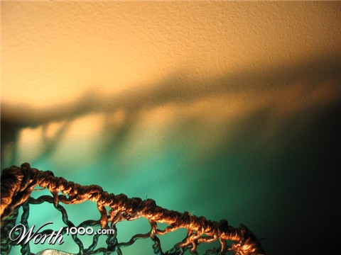 Photography by alicina