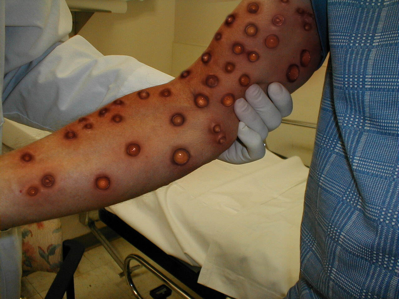 Diseño de Photoshop por shapiro para DesignCrowd (Community Contests) | Diseño #9010429