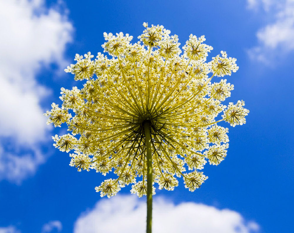 Photography by NatashaP for DesignCrowd (Community Contests) | Design #9004845