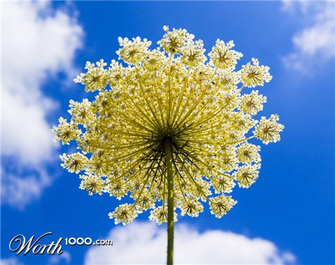 Photography by NatashaP