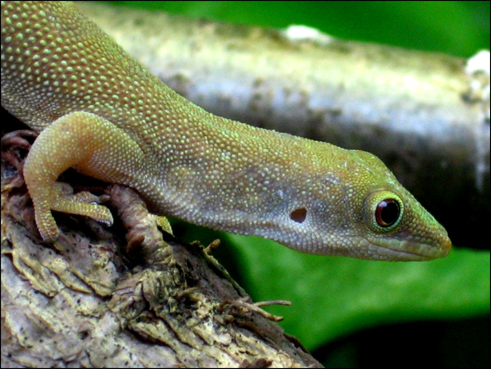 Photographie par allboutme pour DesignCrowd (Community Contests) | Design #9012994