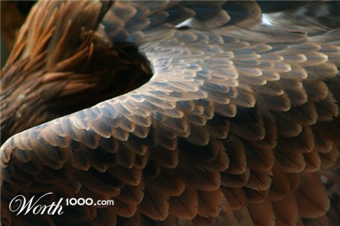 Photography by scarlet23