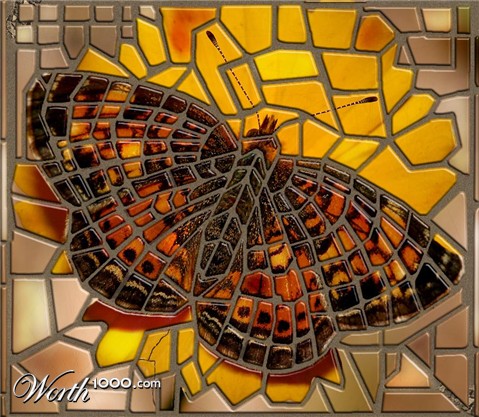 Photoshop Design by CristiG