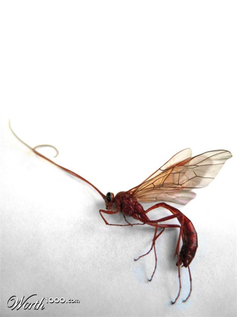 Photography by AvedaRose