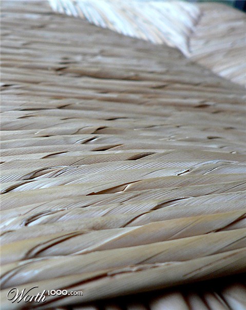 Photography by jandreu