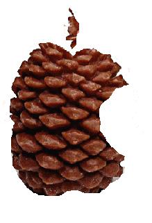 Photoshop Design by johnprice for DesignCrowd (Community Contests) | Design #9010305