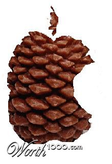 Photoshop Design by johnprice