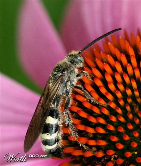 Photography by sheiser
