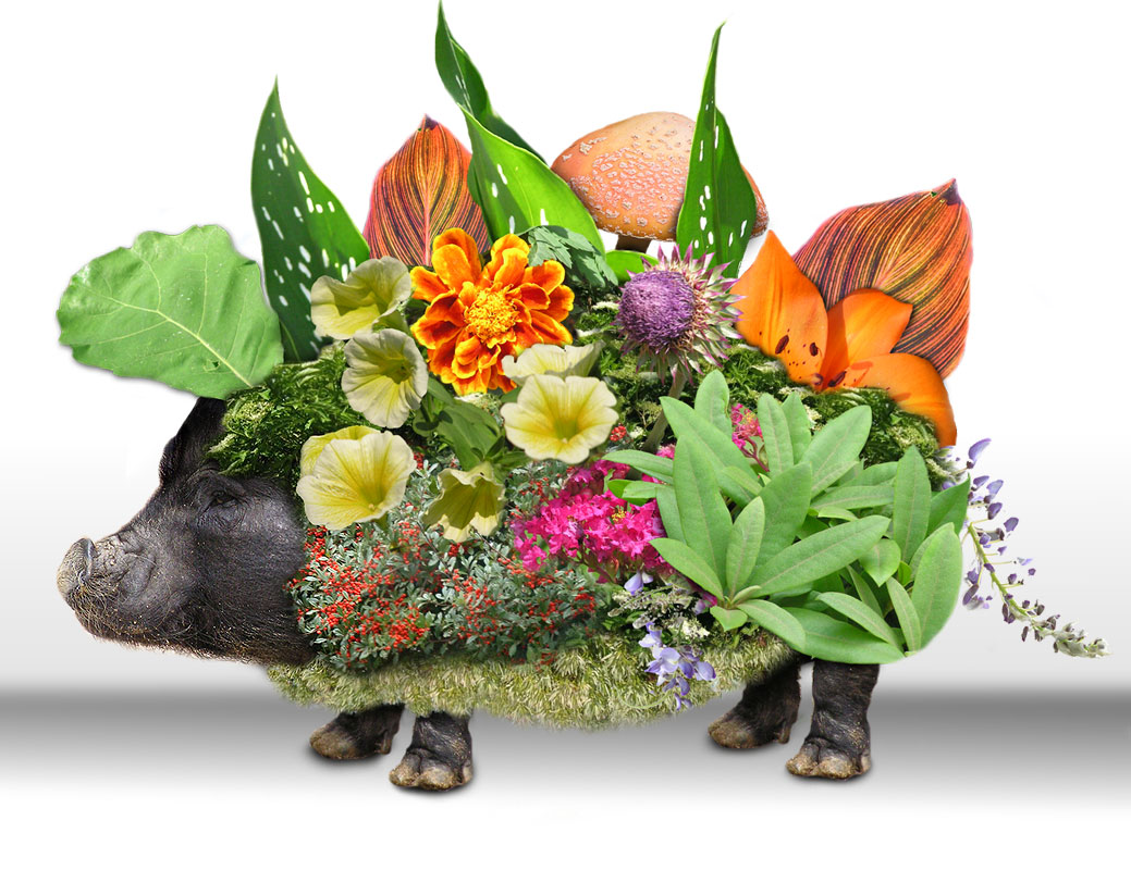 Photoshop Design by tufty68 for DesignCrowd (Community Contests) | Design #9010343