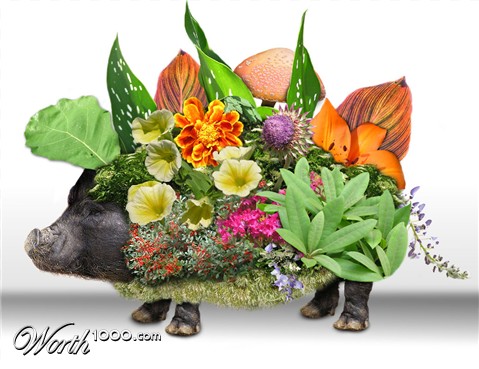 Photoshop Design by tufty68