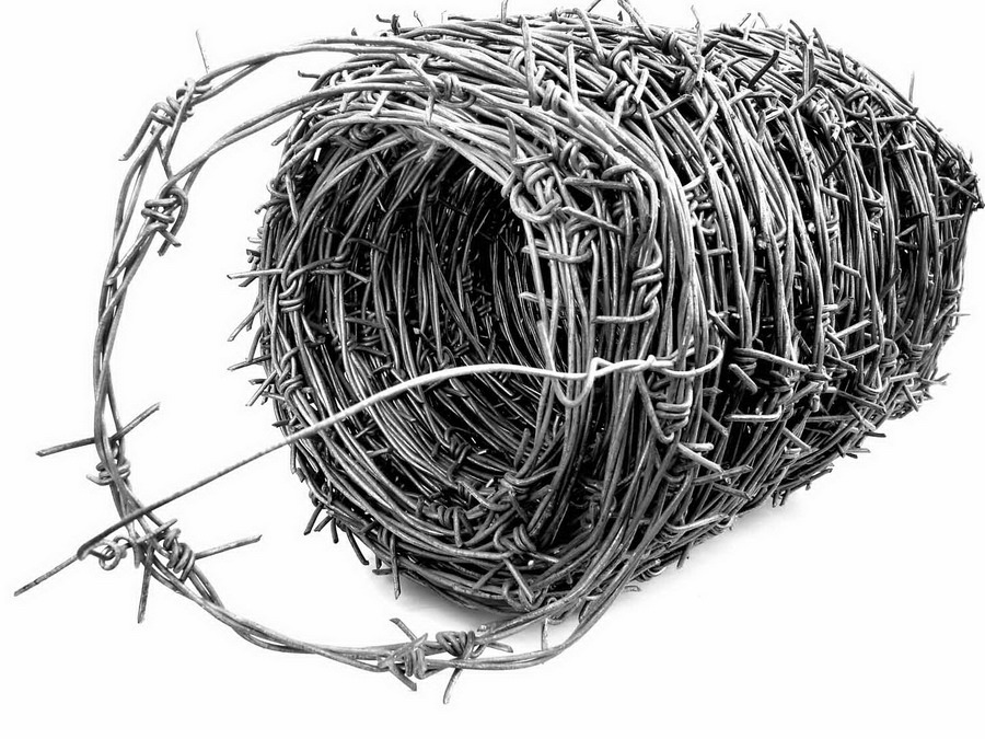 Photography by bigevil600 for DesignCrowd (Community Contests) | Design #9009471