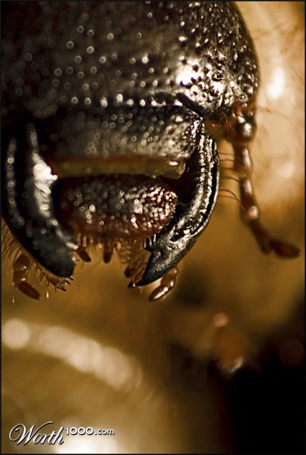 Photography by mated1976