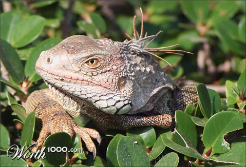 Photography by Anmatta