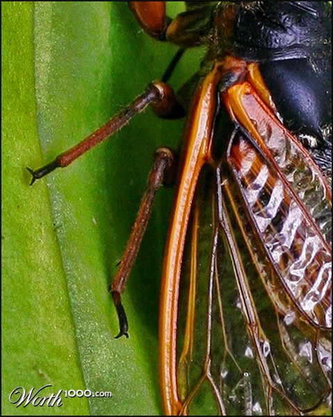 Photography by itsmineillshare