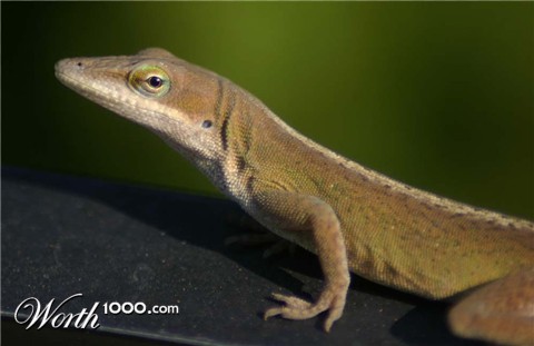 Photography by sluggo40