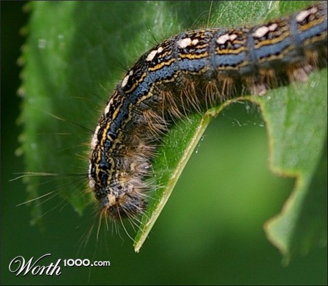Photography by Ajudith