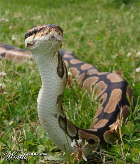 Photography by Karrie