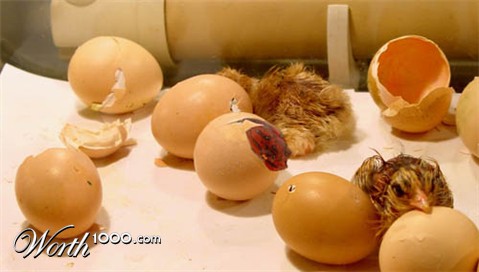 Photoshop Design by hamper